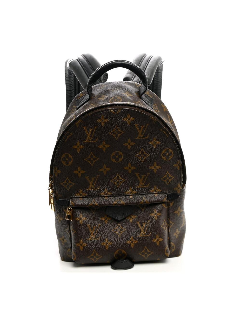 Louis Vuitton Palm Springs Backpack Pm #321905L13B